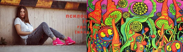 ГАЛЛЮЦИНОГЕННЫЕ ГРИБЫ Навашино